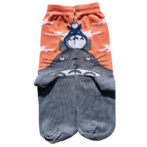 Medias Totoro
