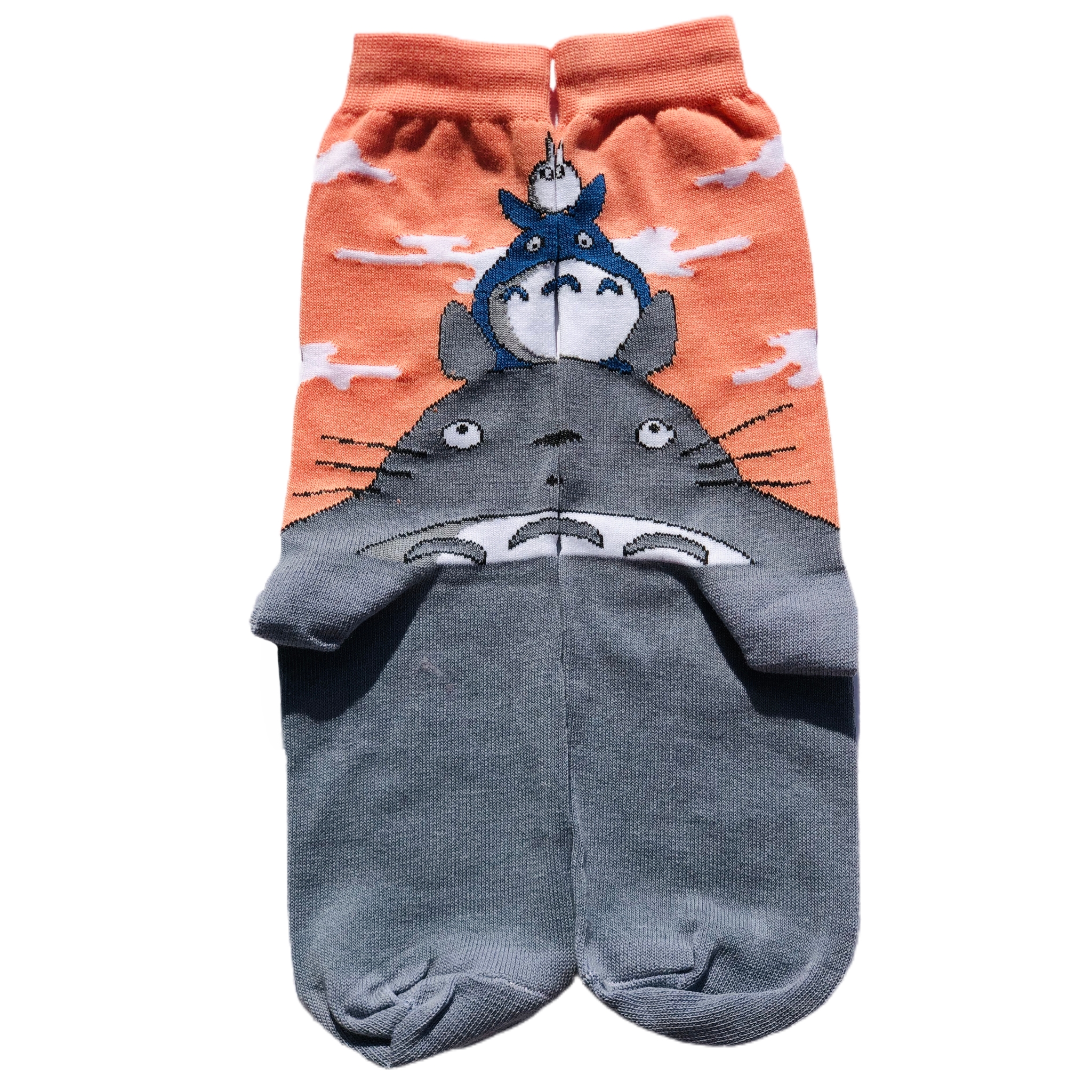Medias Totoro