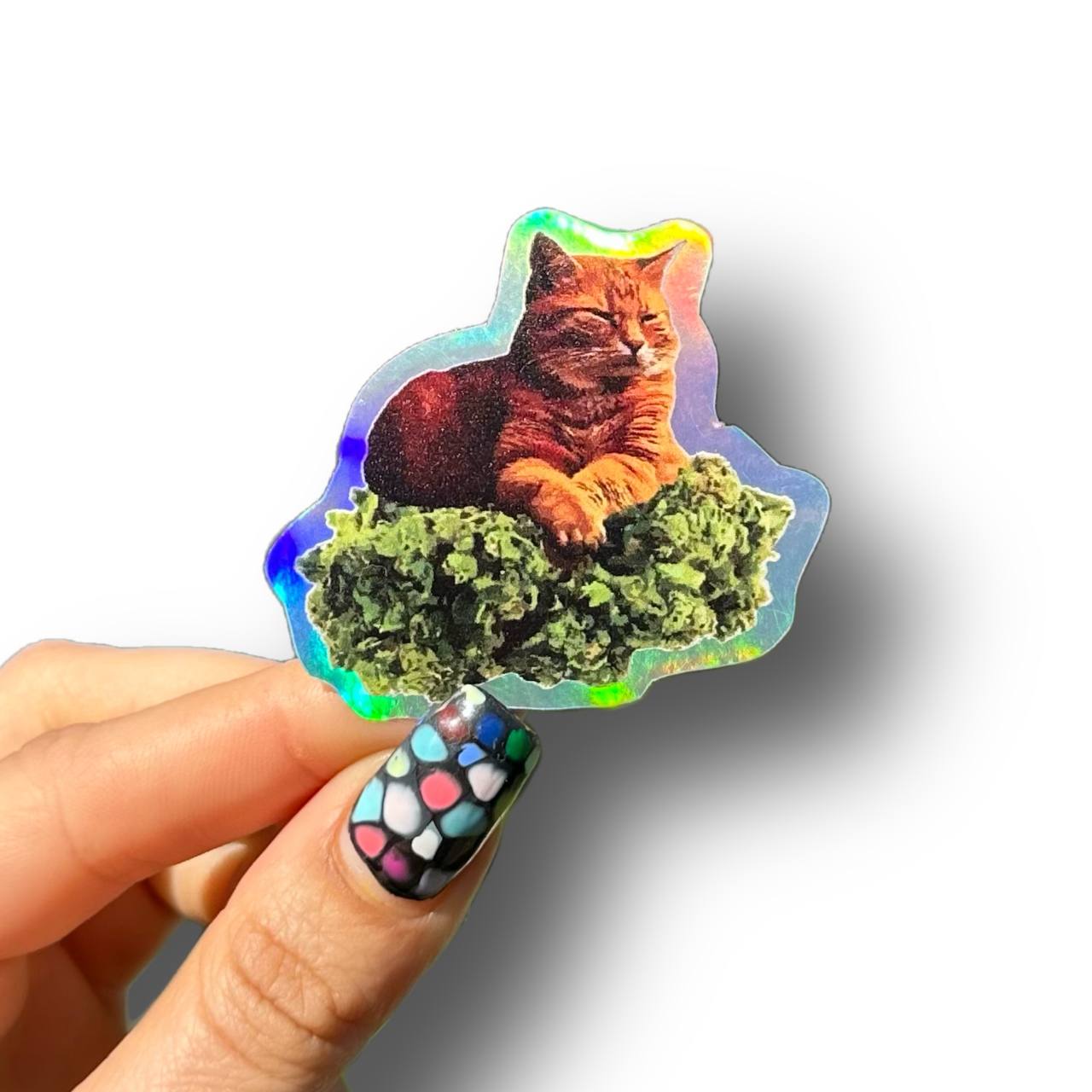 Sticker CogoCat