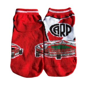 Soquetes Monumental (River Plate)