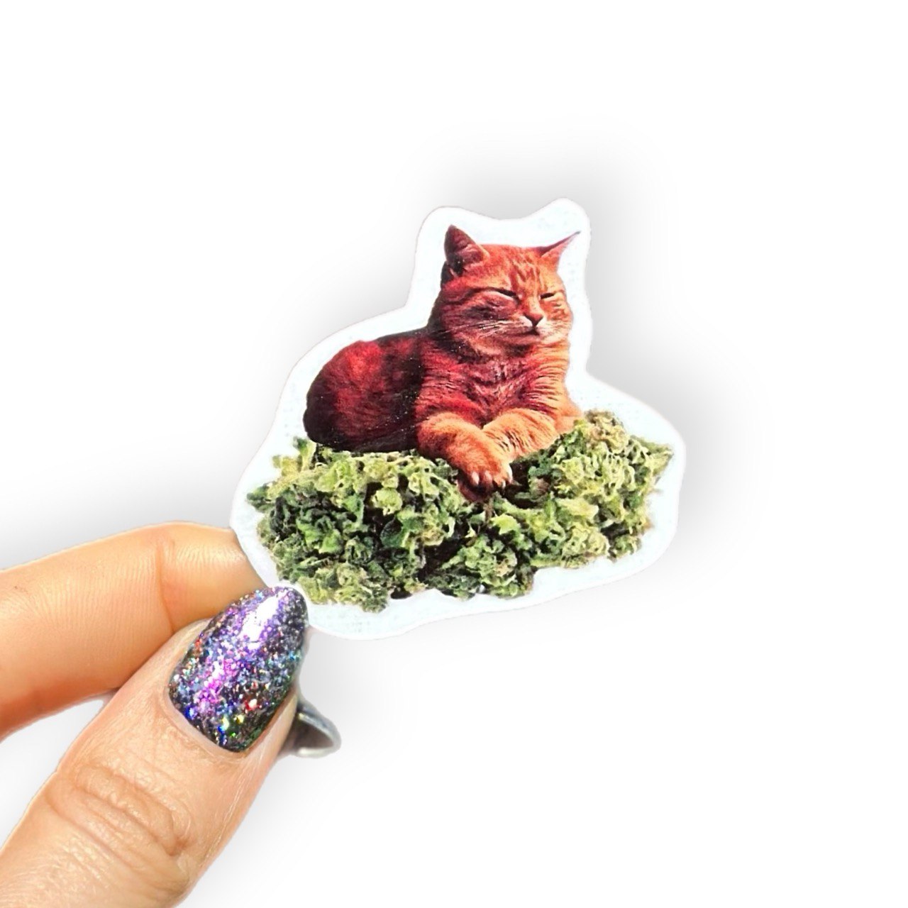 Tatuaje Temporal CogoCat