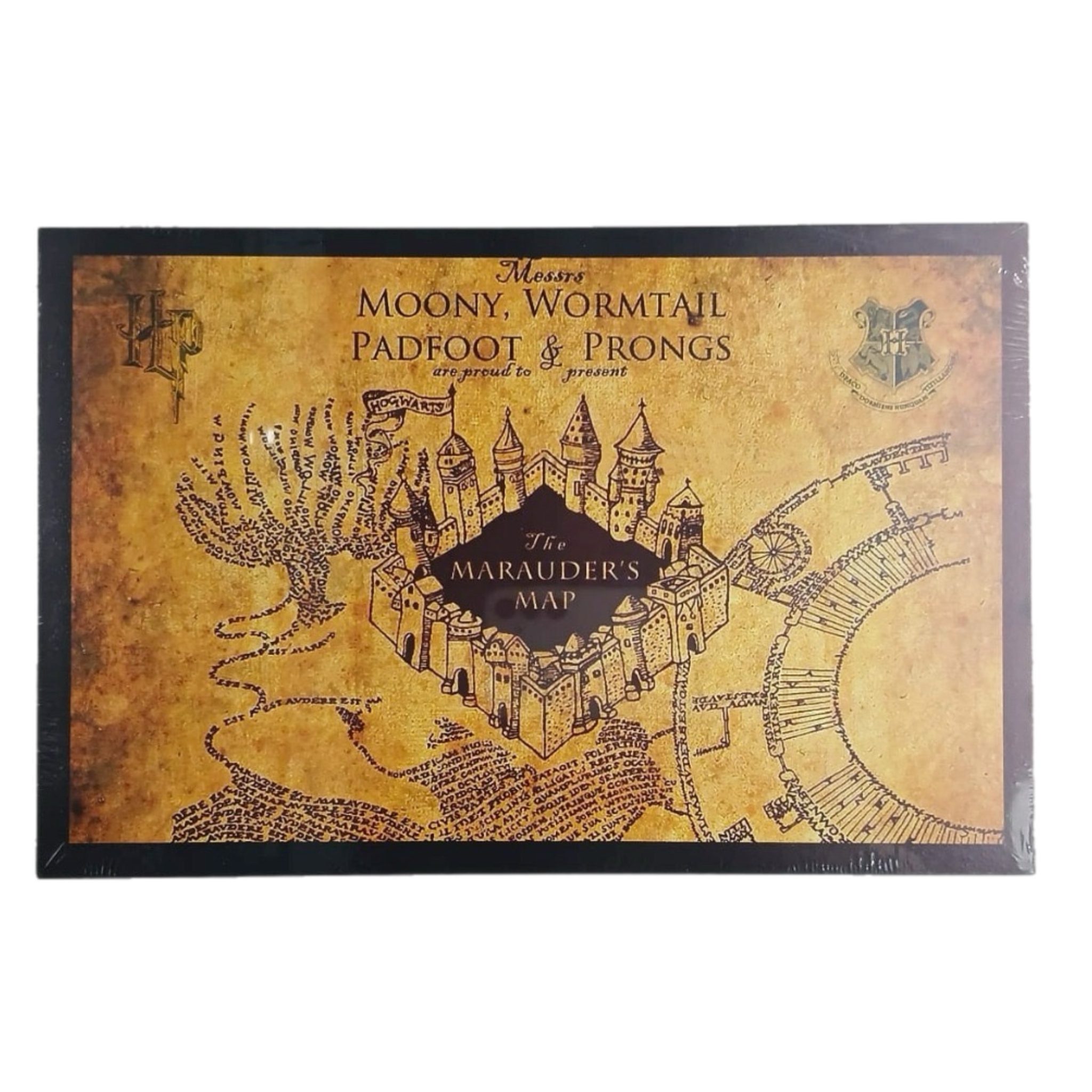 Cuadro Marauders Map 30×45cm