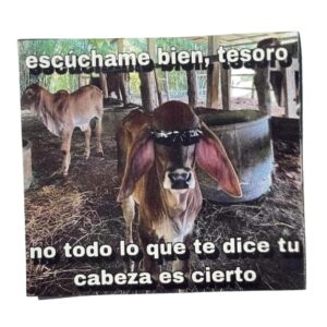 Iman "Escuchame bien Tesoro"