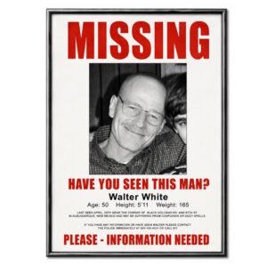 Cuadro 15x20 - Walter White Missing