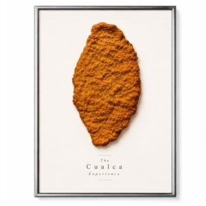 Cuadro 15x20 - Milanesa